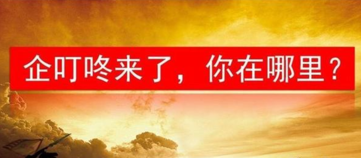 企叮咚会员.png