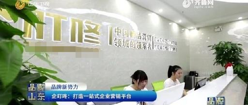 企叮咚.jpg