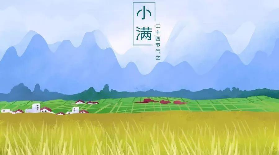 小满.jpg