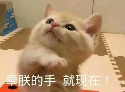牵手.jpg