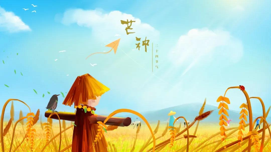 芒种.jpg
