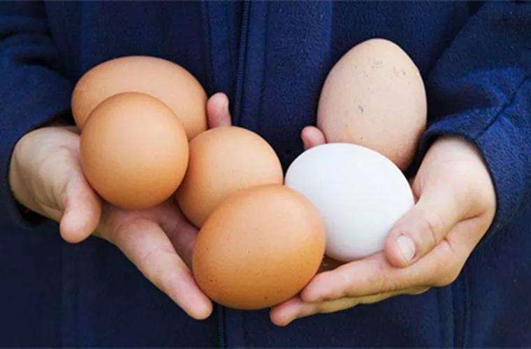 生鲜果蔬店4.jpg 生鲜果蔬店4.jpg