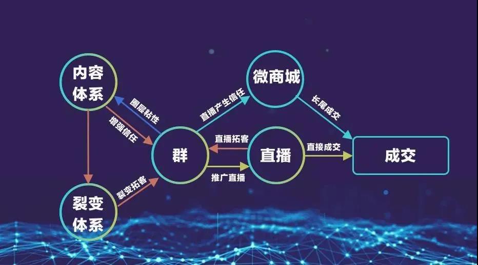 运营6.jpg