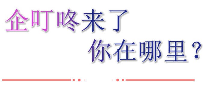 企叮咚.png